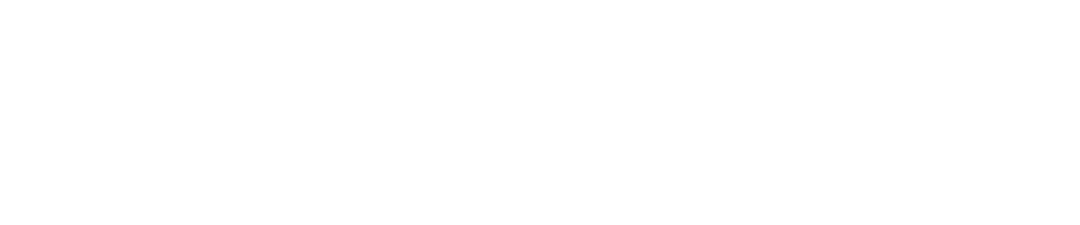 Sindhoori Surgicals Logo